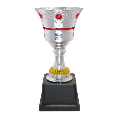 Кубок Dgy 6 B (H-51 см, D-220 мм)
