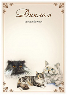 Диплом 00574 Кошки