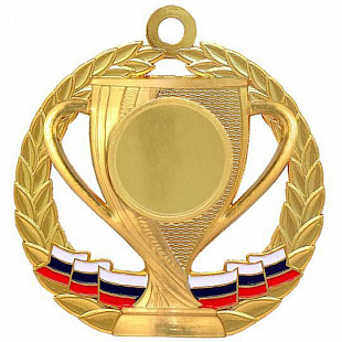 Медаль Dmz 33-70/G (D-70мм, D-25мм, s-2,5мм)