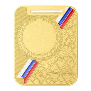 Медаль MZP 550-65/GM (48х60мм, D-25мм, s-2,5мм)