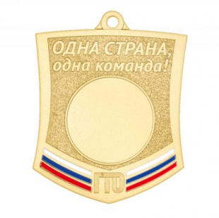 Медаль GMZP 702-50/GM  (57х45мм, s-2 мм)