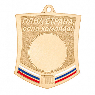 Медаль GMZP 702-50/ВM  (57х45мм, s-2 мм)