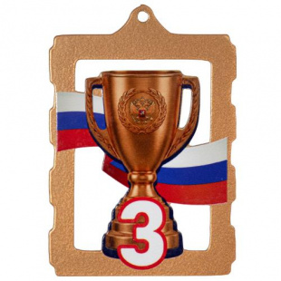Медаль MZP 831-70/ВM 3 место (50х70мм, s-2 мм)