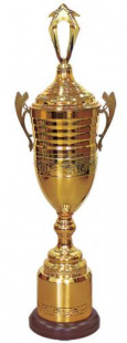 Кубок Dhb 2 C (H-100 см, D-220 мм)